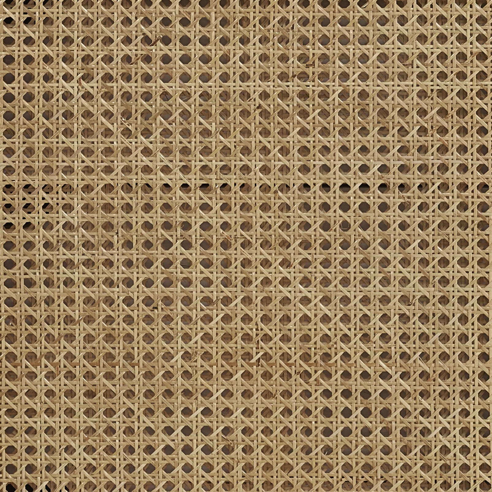 Cane