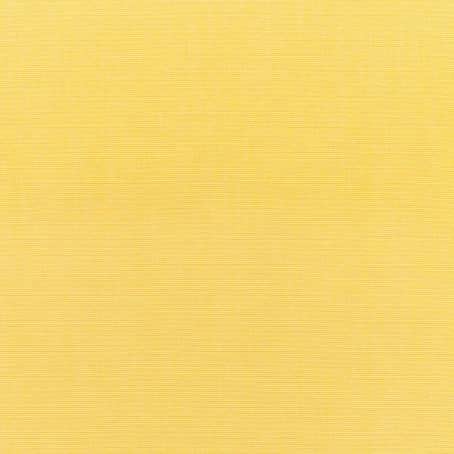 Canvas Buttercup