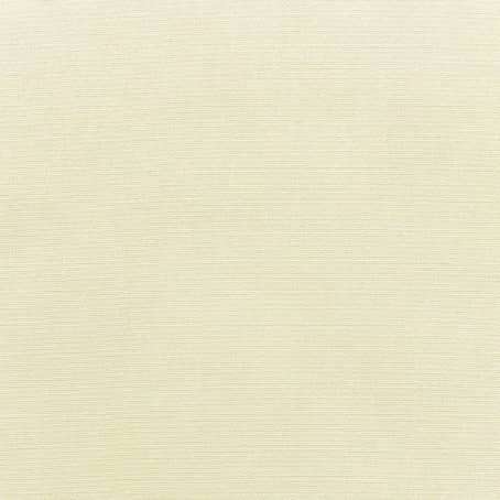 Canvas Canvas