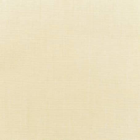 Canvas Vellum
