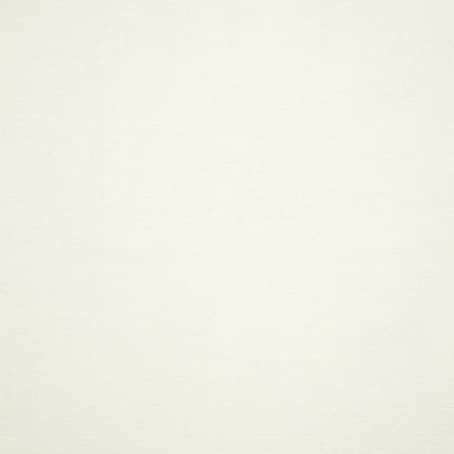 Canvas White