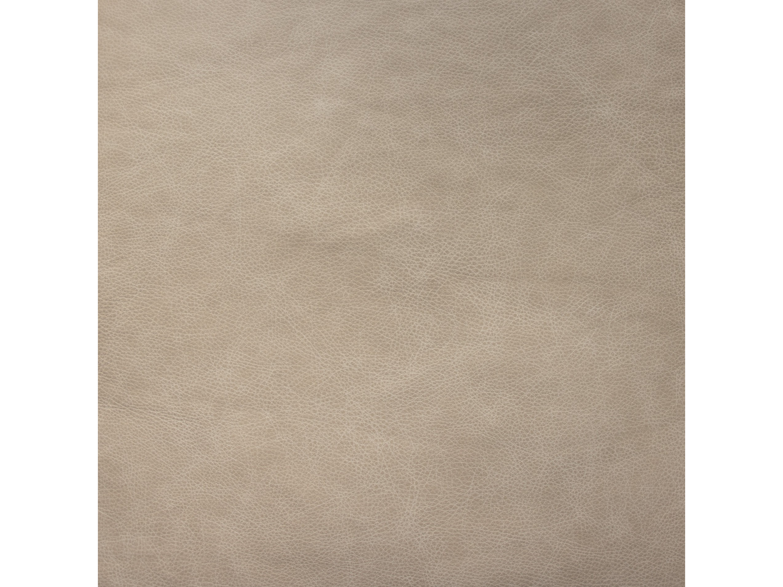 EL PASO IVORY
