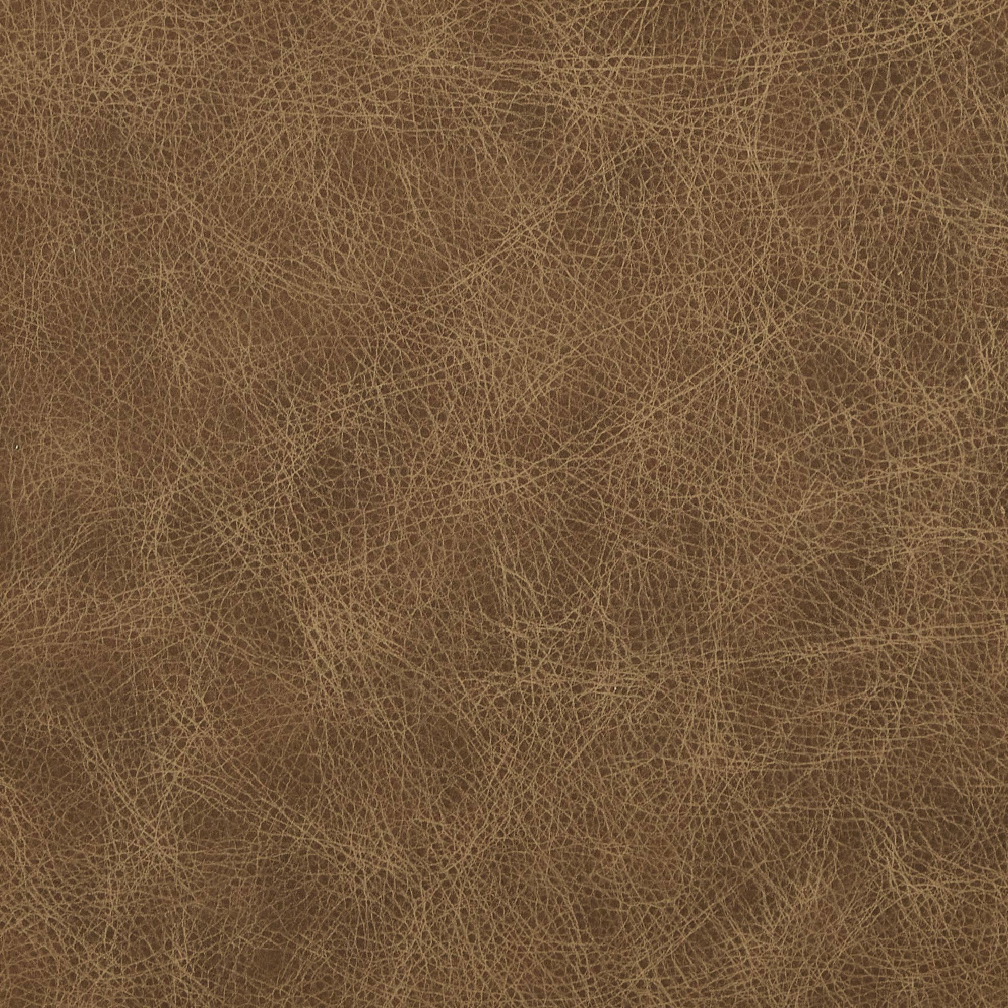 EL PASO SAND