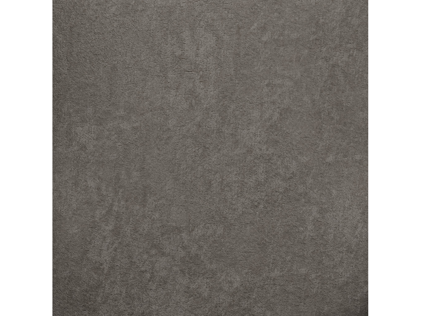 BUNNY GRAY