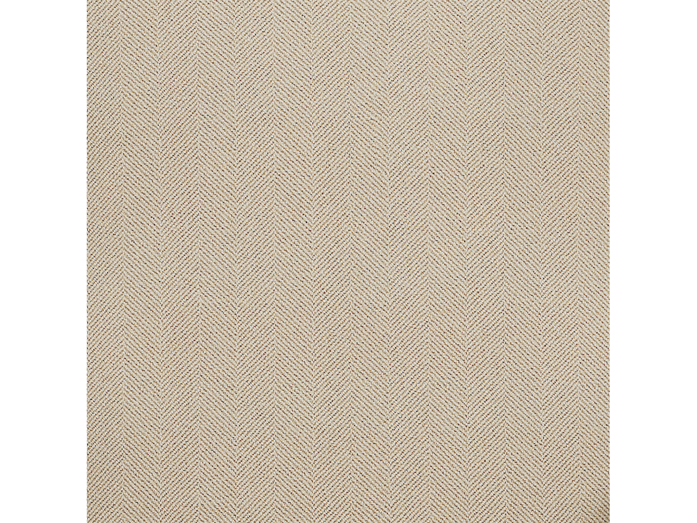 FOREST PARCHMENT