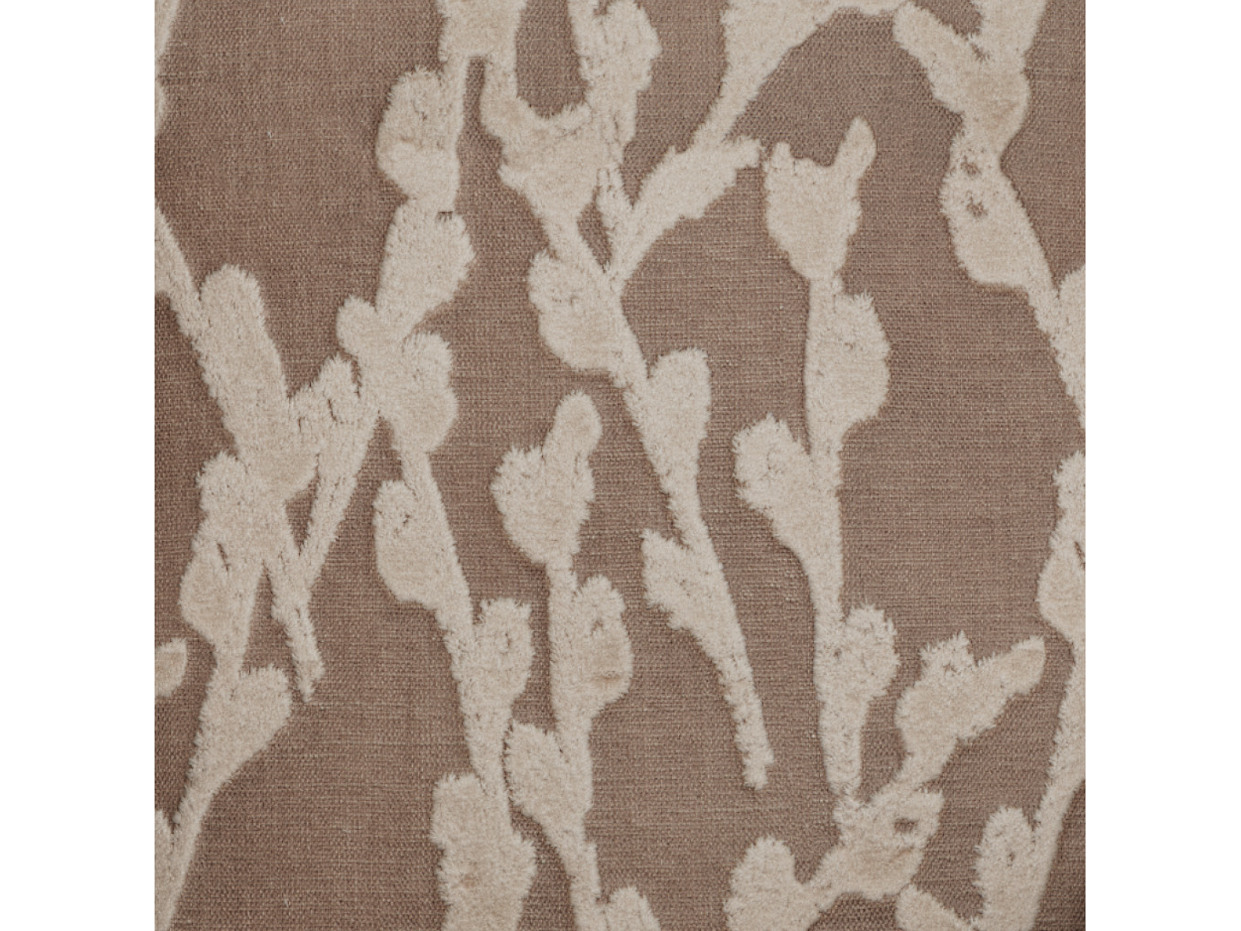 FLORA HUSK