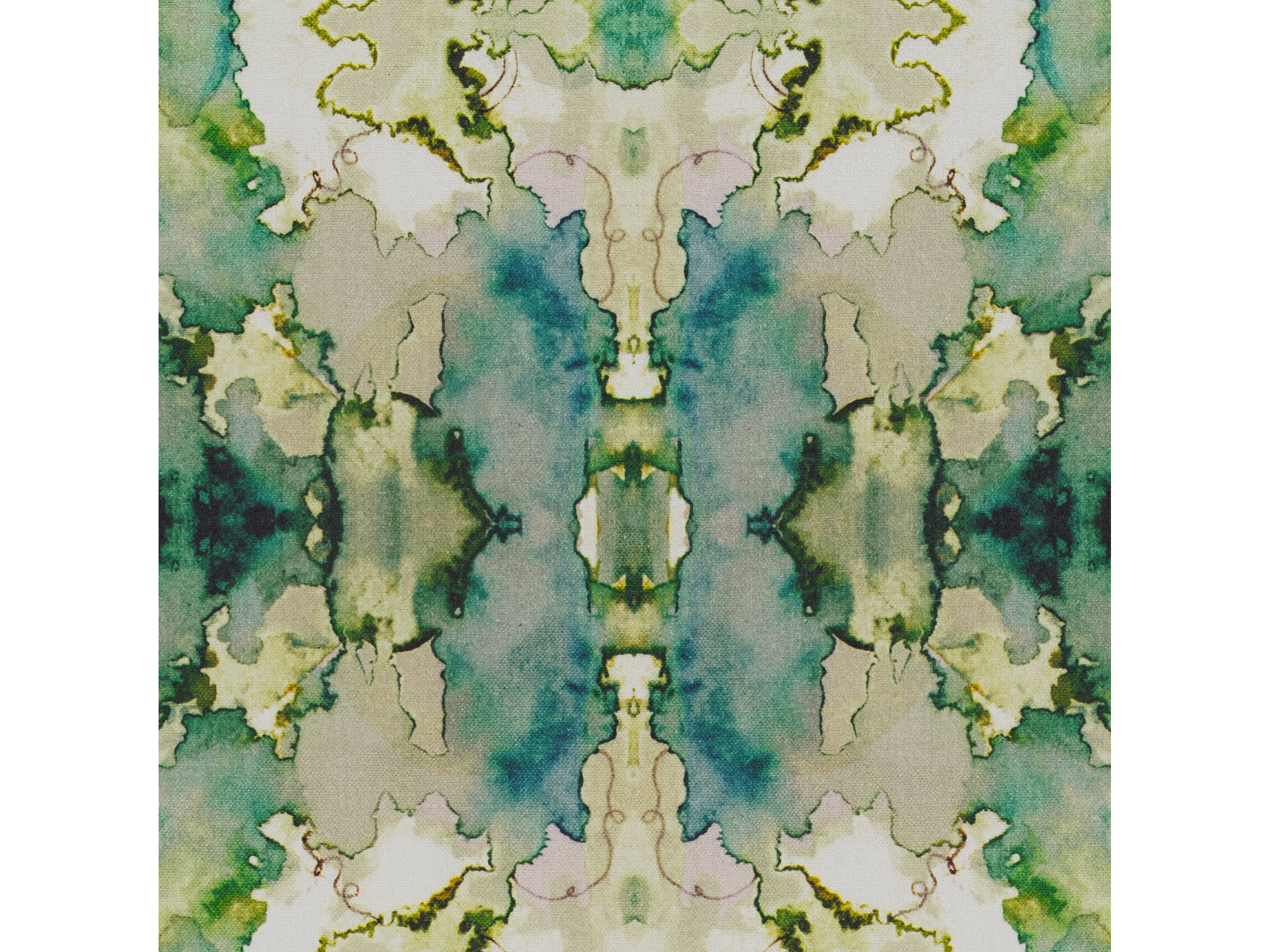 DUTCHESS JUNIPER