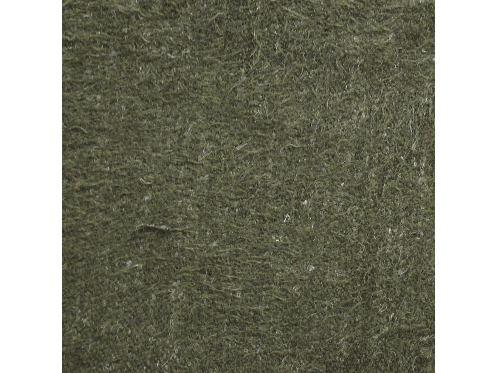WUZZY OLIVE