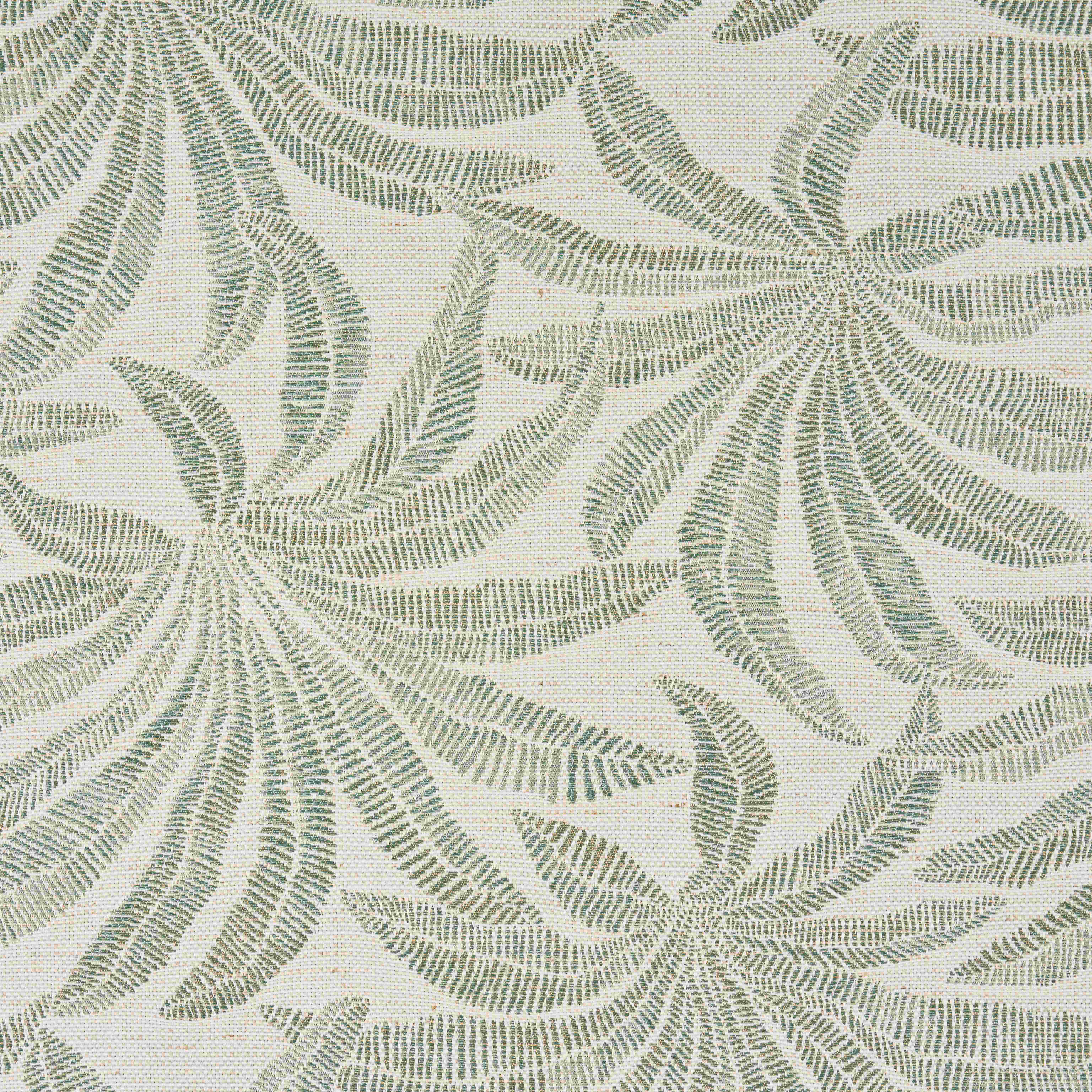 FOREST GLADE ALOE