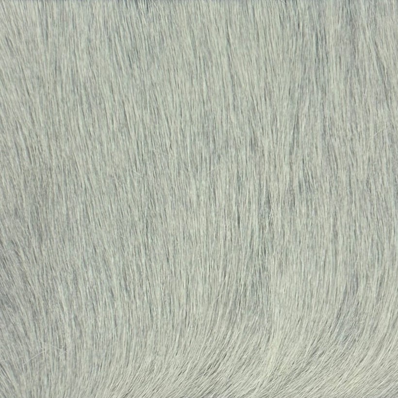 Gray Hair on Hide