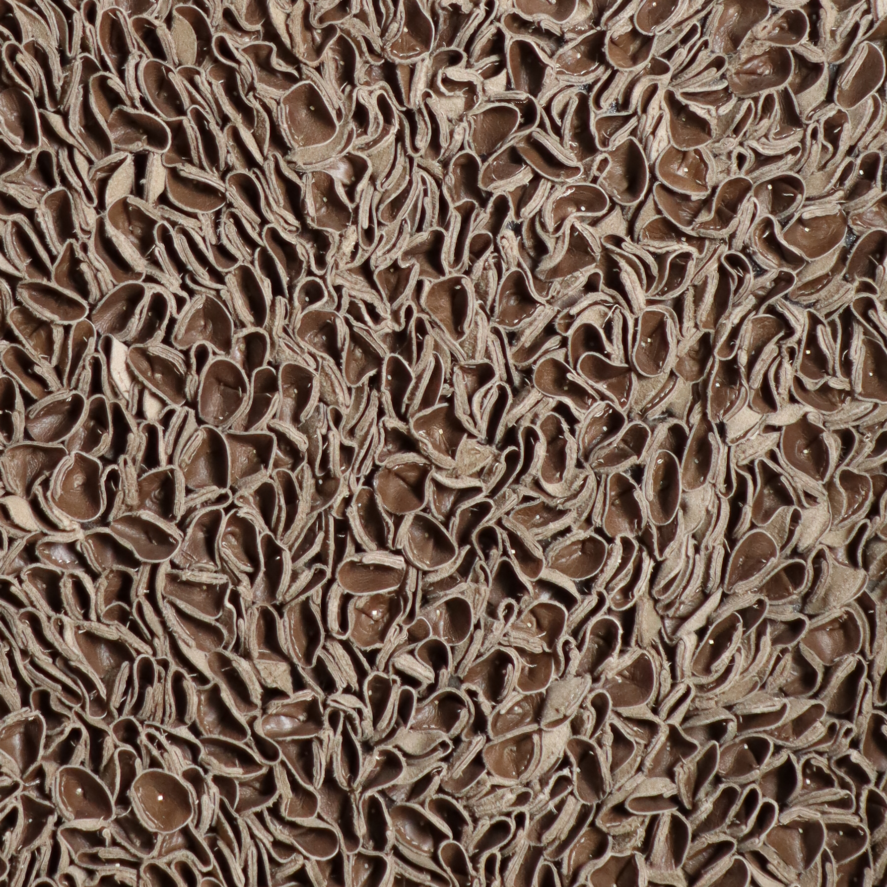 Brown Leather Petals