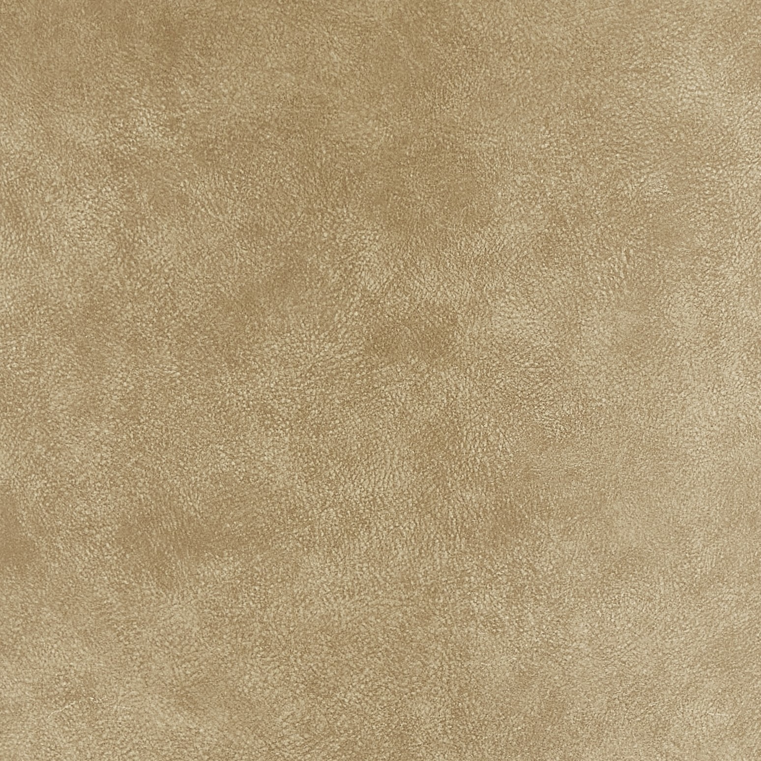 Luminance Caribou Slide Image