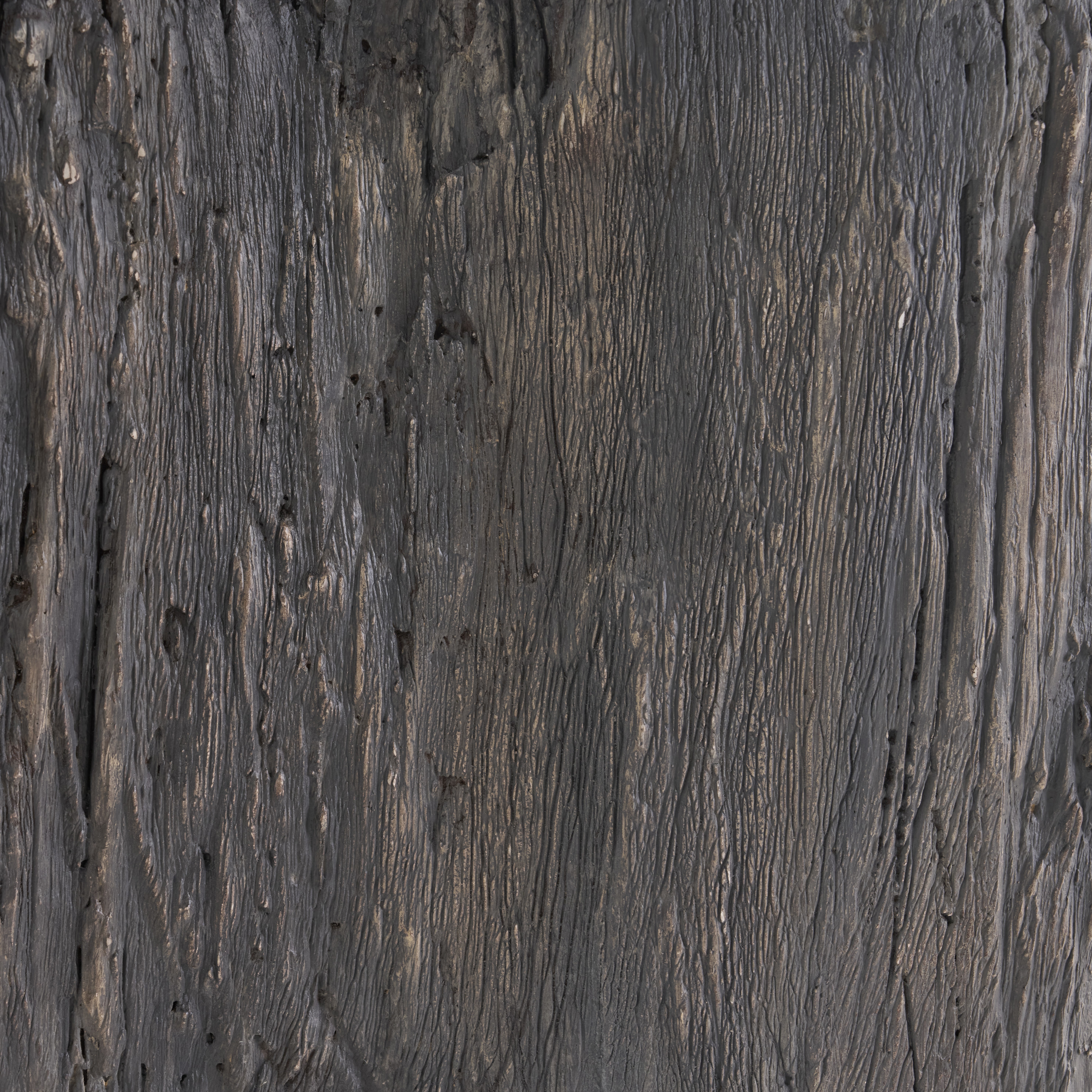 Petrified Wood