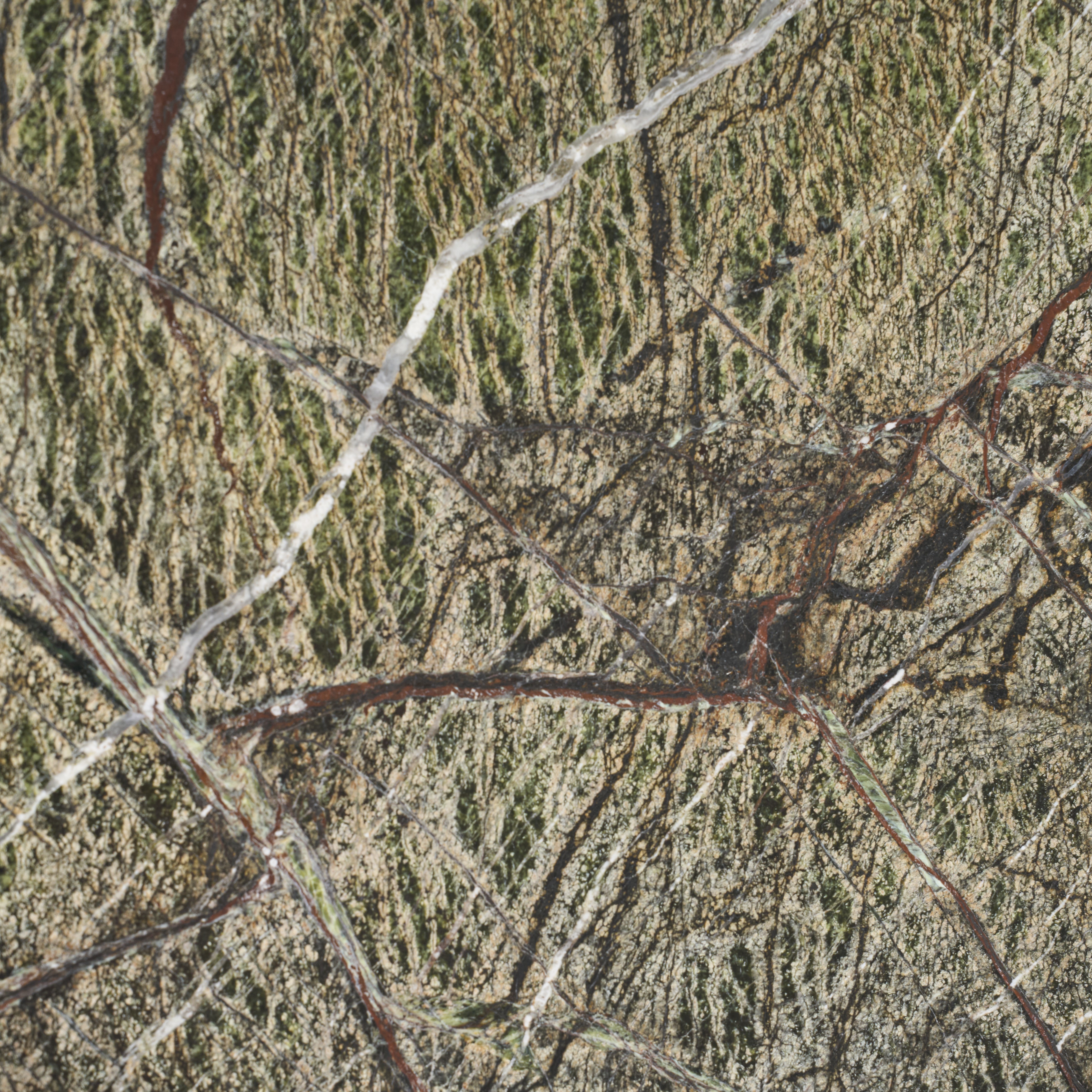 Rain Forest Green Marble