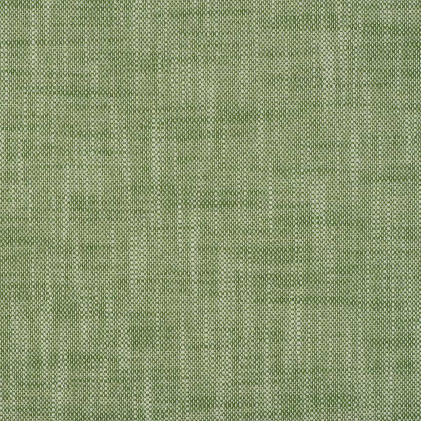 Rollo Lawn