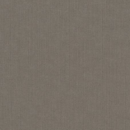 Spectrum Graphite