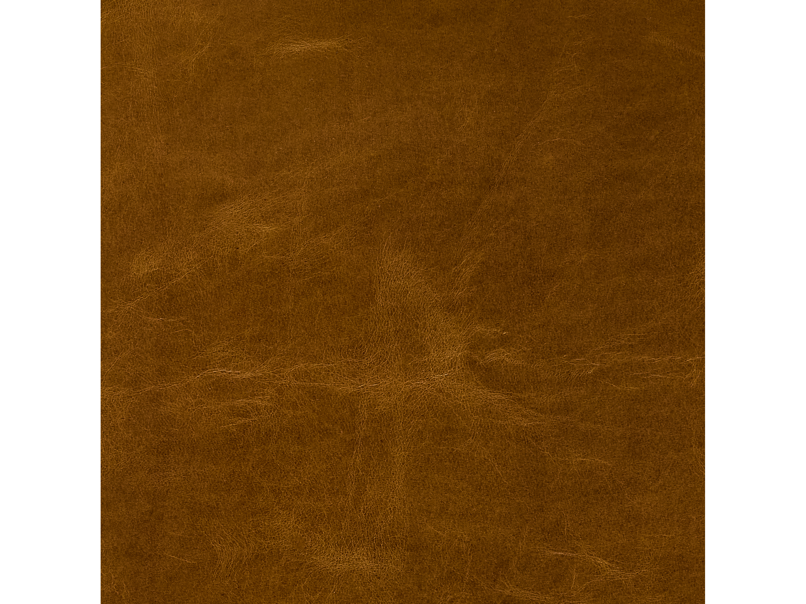 MONT BLANC CAMEL