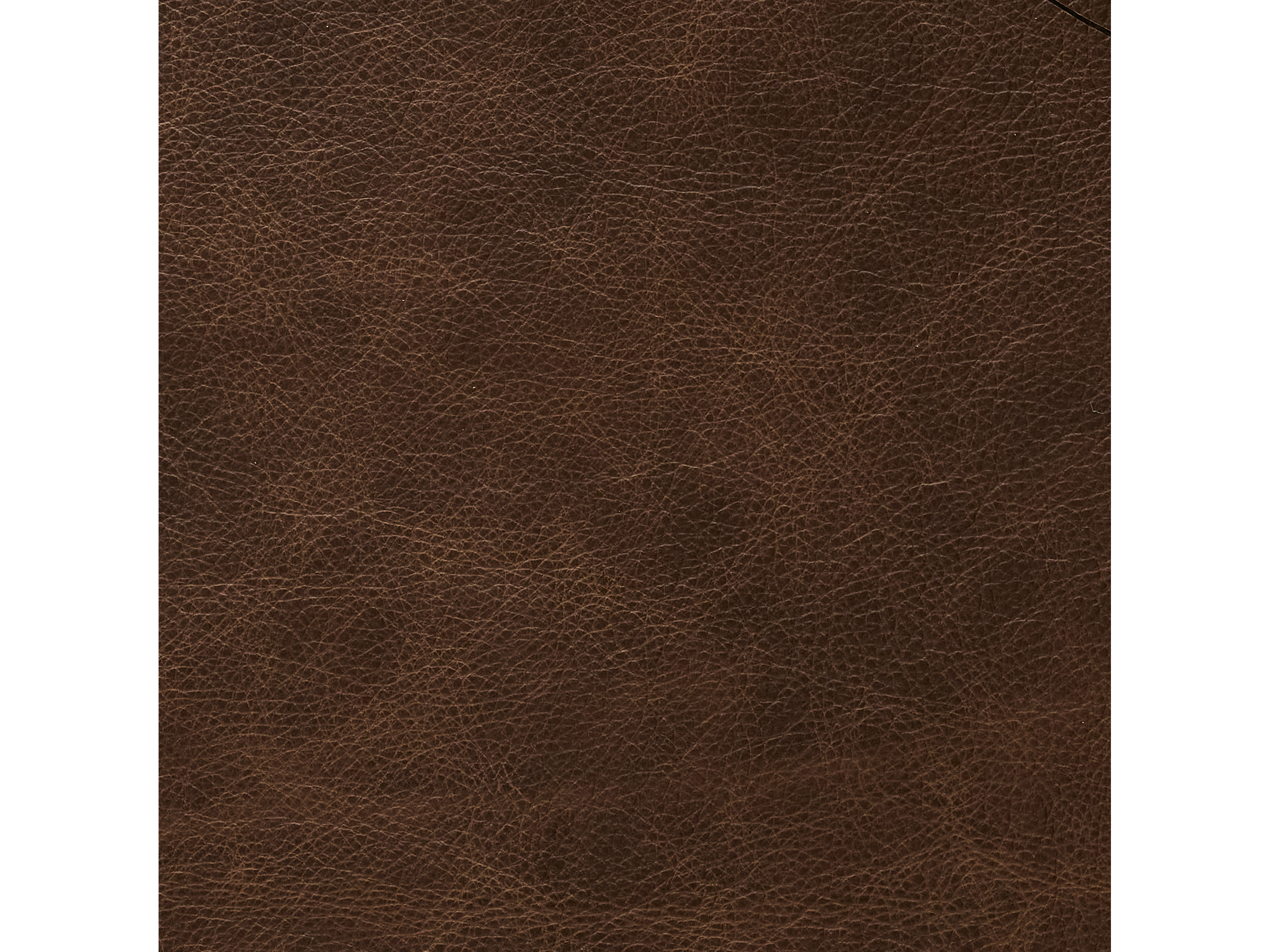 EL PASO BROWN