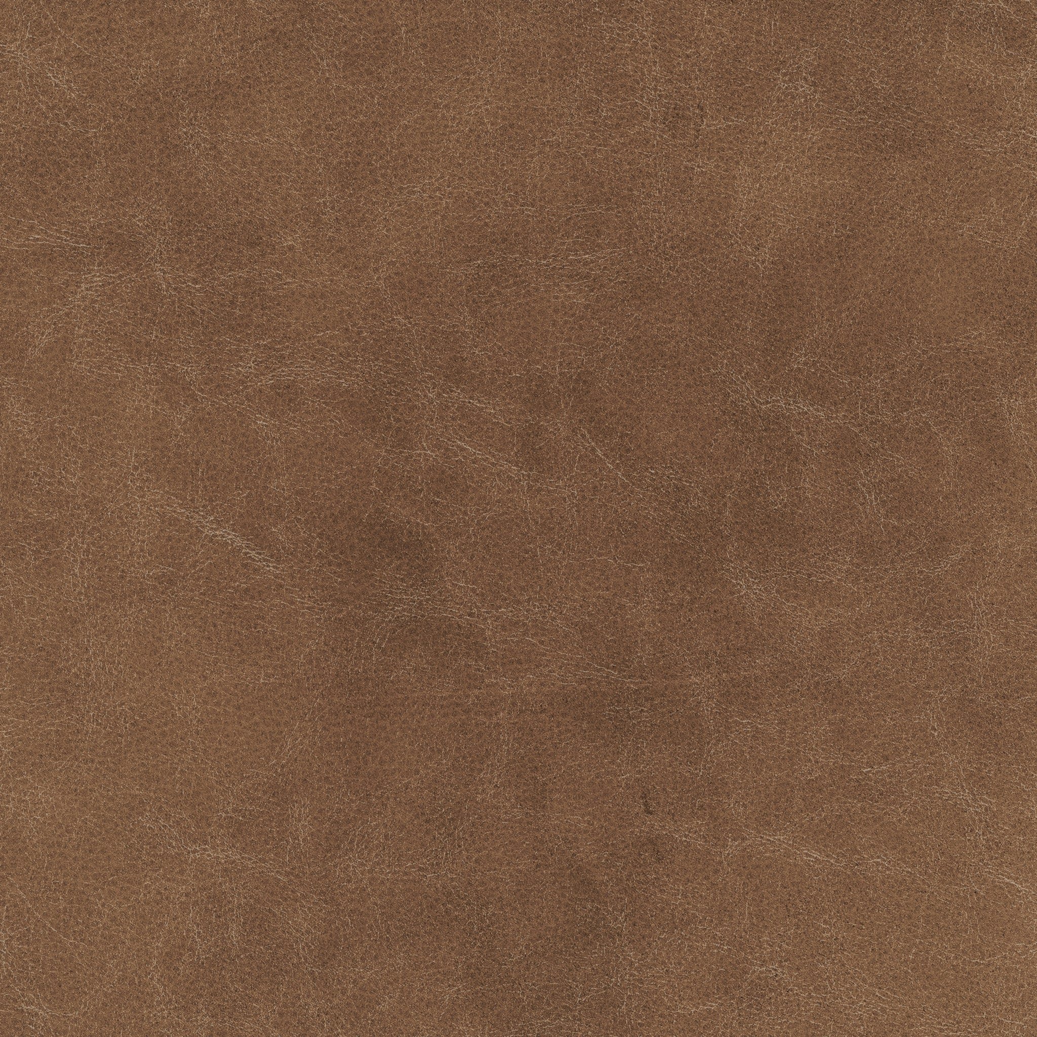 WINCHESTER SYCAMORE