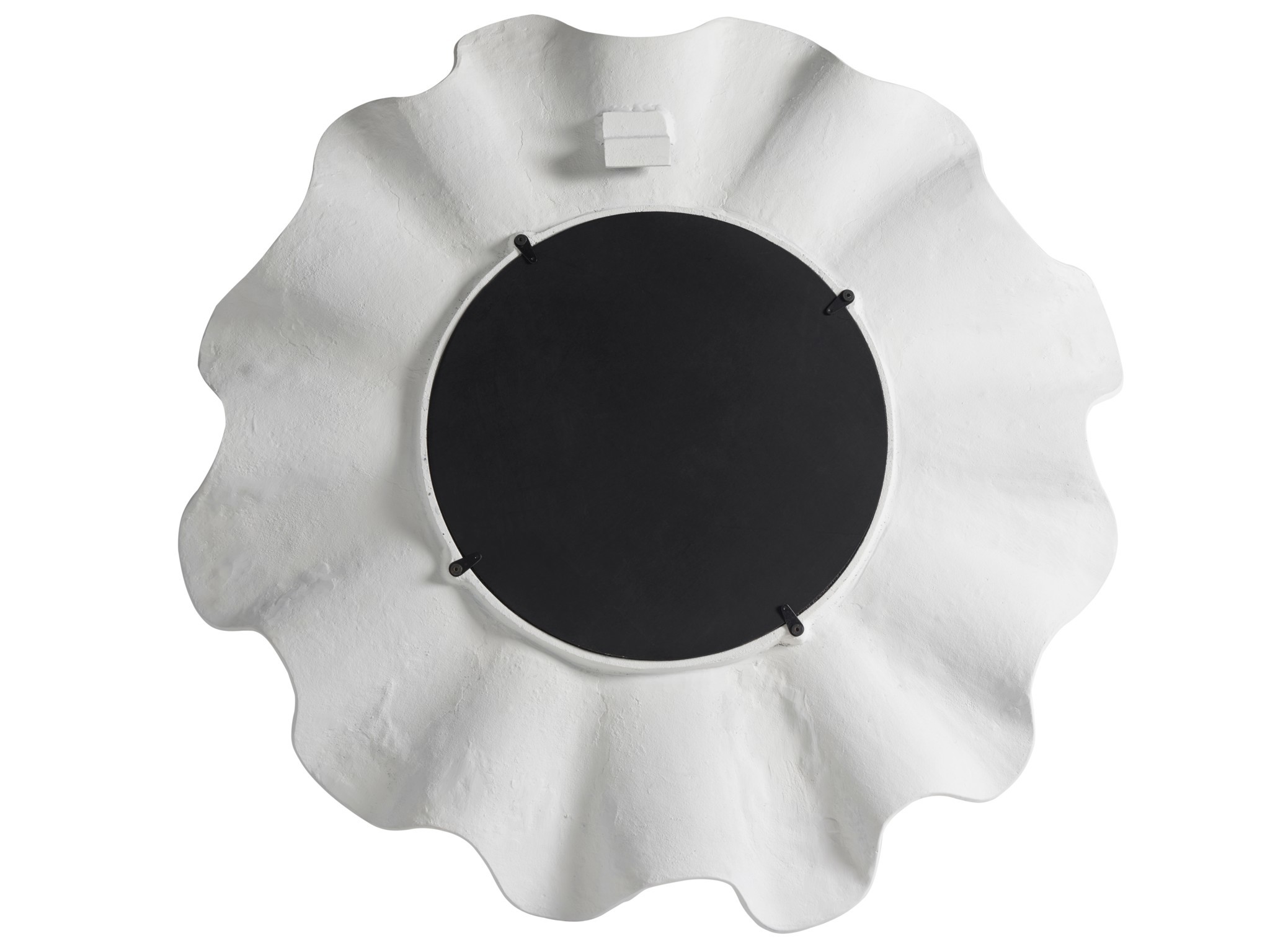 Scallop Mirror - Silo with a white background