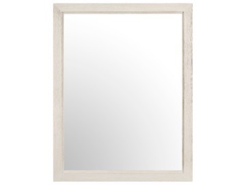 Mist Mirror